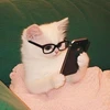 いぶ
