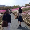 えりか211