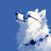 Rollo111