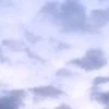 ももも