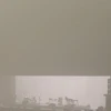 すーも