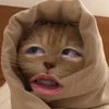 おむらいす