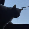 おっさん