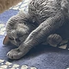 マイノリティ