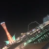 ひな