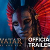 movieringi
