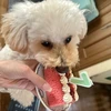 userJzOoguhevYN