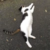 やっち