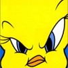 339
