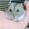 澪士郎