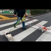 はるお