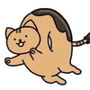 マ