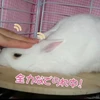 _.nontan