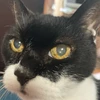 ぼっとんバナナ