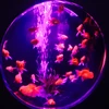 のはこ