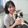 たいせい