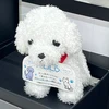 じゃがバター犬