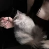 はーちゃん