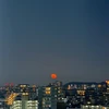 りっこ