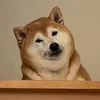 犬