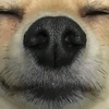 り