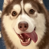 Ｕ