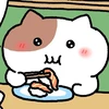 chiyo2526