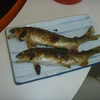 はると