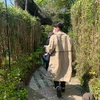 おひげ