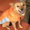 ゆかこ