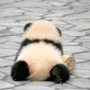 のん
