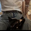 コロン