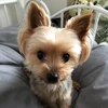 coco440900