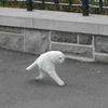 にい