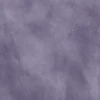 林檎