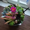 ニッチー