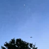のんのん