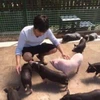 のん
