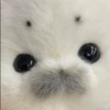 リン
