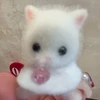 pui