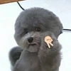 りこち
