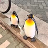ジャズネコ