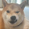 ゆり