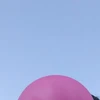 も