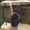 aplio