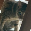 まる