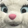 梅干し