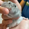 リョウ