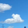 もも太郎