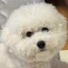 みう